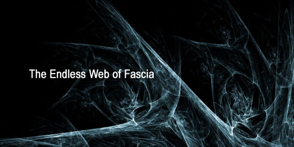 Web of Fascial 